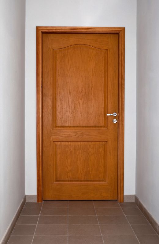 Modern Interior Door