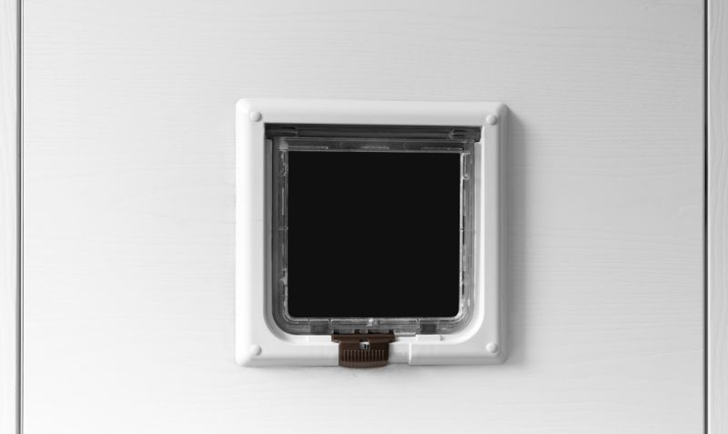 Pet Door Installation